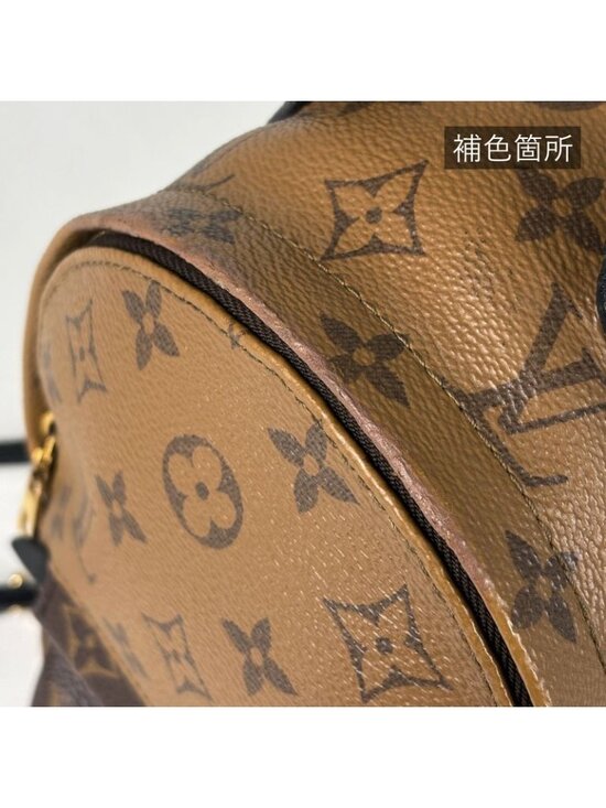Louis Vuitton Palm Spring Backpack Mini Monogram Reverse Brown main image 9